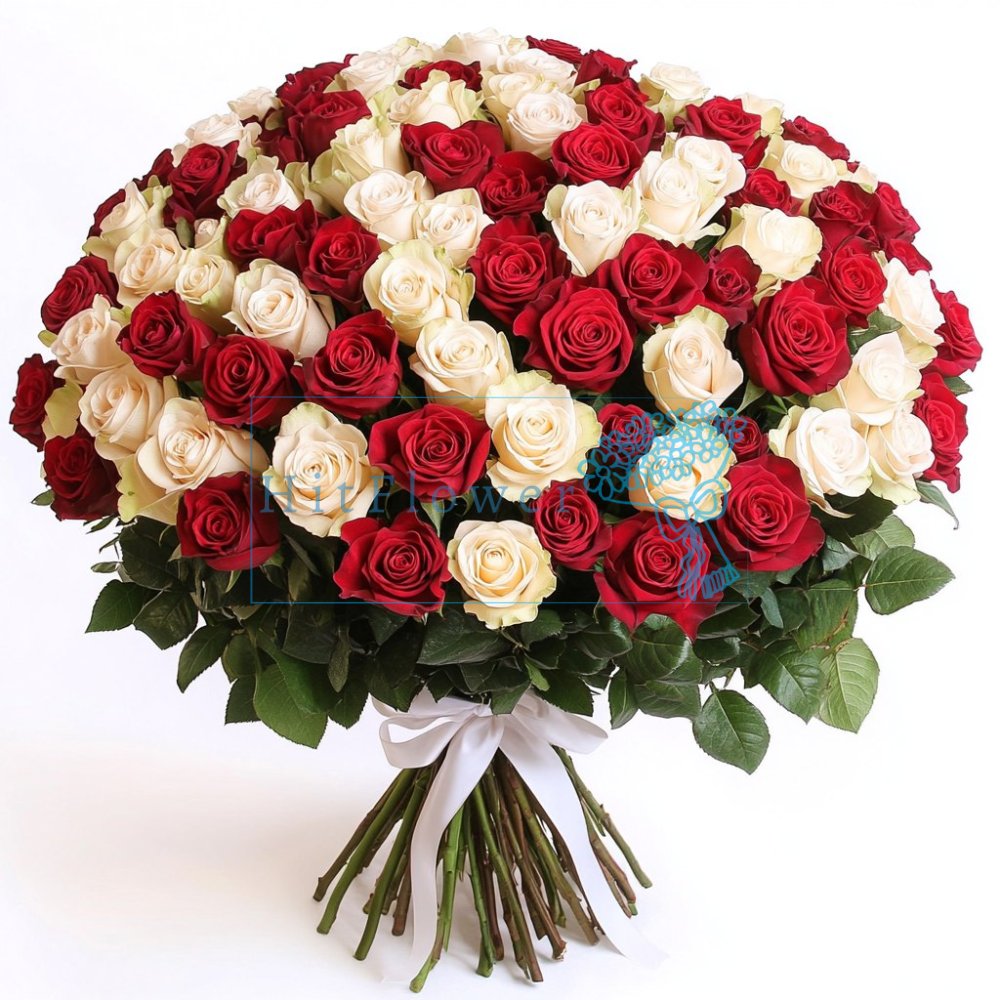 Букет 101 роза Букет роз 101 роза